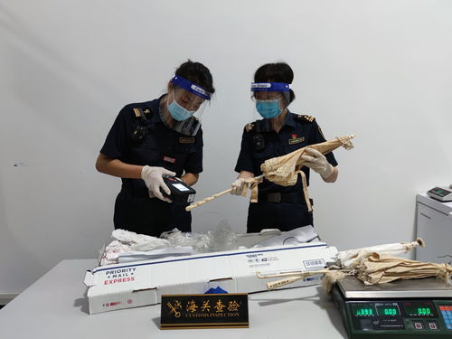 江門廣播電視臺 打造精品節(jié)目，傳播僑鄉(xiāng)之聲